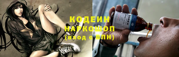 прущий лед Алзамай