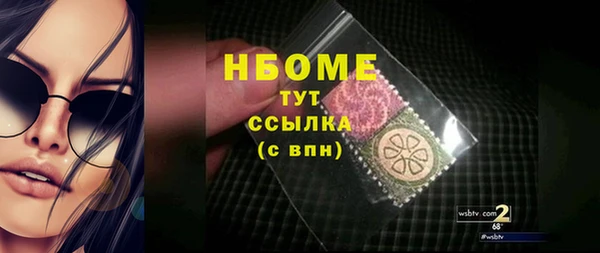 прущий лед Алзамай