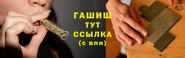стаф Алексин