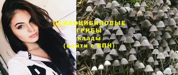 стаф Алексин
