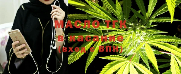 прущий лед Алзамай