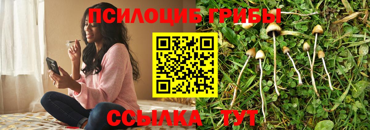 Псилоцибиновые грибы мухоморы Морозовск