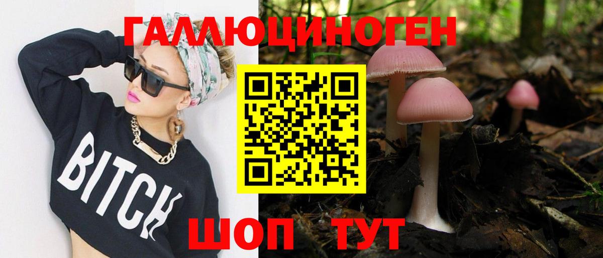 Морозовск  Галлюциногенные грибы Psilocybe  Вход с VPN 
